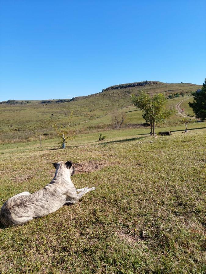 Cabanas Vista Verde Tacuarembó Dış mekan fotoğraf